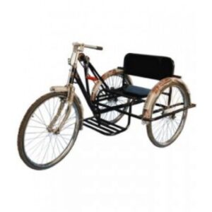 Handicapped-Child-Tricycle-550x550h
